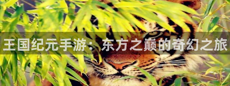 汇丰娱乐算法公式：王国纪元手游：东方之巅的奇幻之旅
