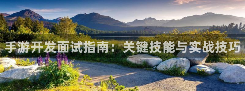 汇丰娱乐新版：手游开发面试指南：关键技能与实战技巧