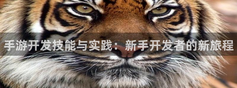 汇丰娱乐结果查询：手游开发技能与实践：新手开发者的新旅程