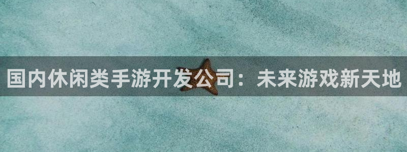 汇丰娱乐杀组合：国内休闲类手游开发公司：未来游戏新天地