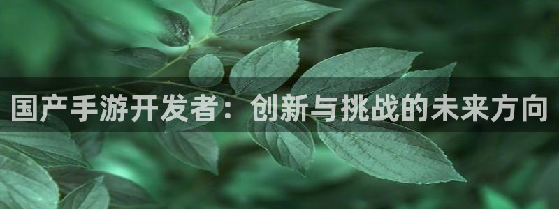 汇丰娱乐v5.6.0：国产手游开发者：创新与挑战的未来方向