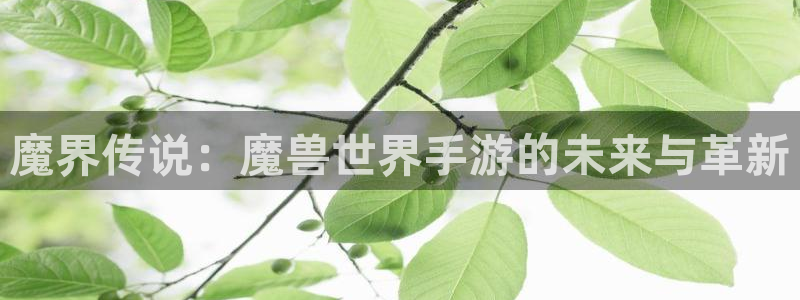 汇丰娱乐助手：魔界传说：魔兽世界手游的未来与革新