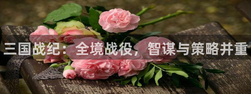 汇丰娱乐加拿大在线上分：三国战纪：全境战役，智谋与策略并重