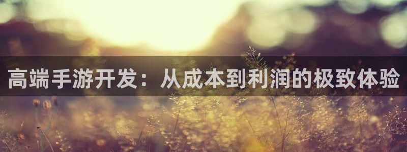 汇丰娱乐现在是什么：高端手游开发：从成本到利润的极致体验