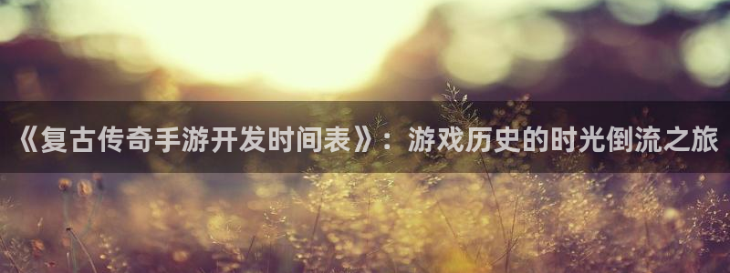 汇丰娱乐官方下载ios：《复古传奇手游开发时间表》：游戏历史