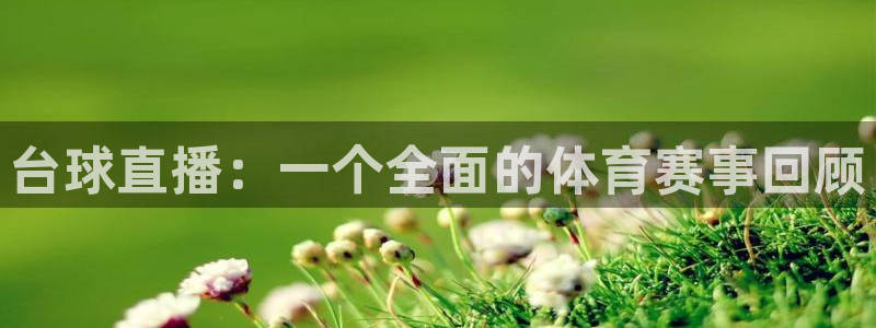 919体育直播间在线看