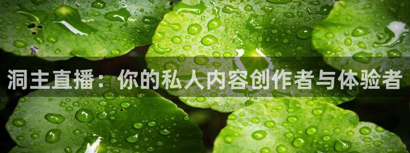 919足球直播间：洞主直播：你的私人内容创作者与体验者