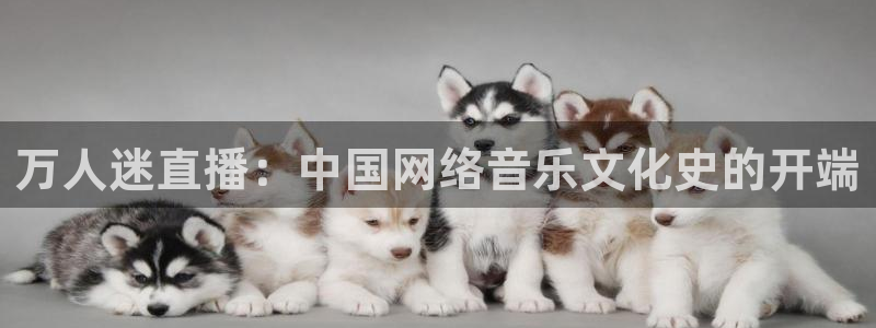 919看球直播官网入口：万人迷直播：中国网络音乐文化史的开端