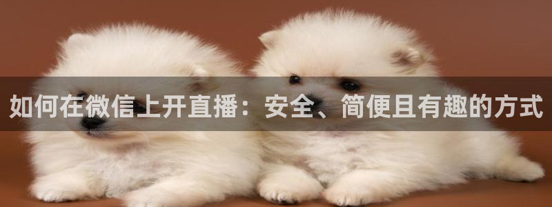919体育直播苹果版：如何在微信上开直播：安全、简便且有趣的方式
